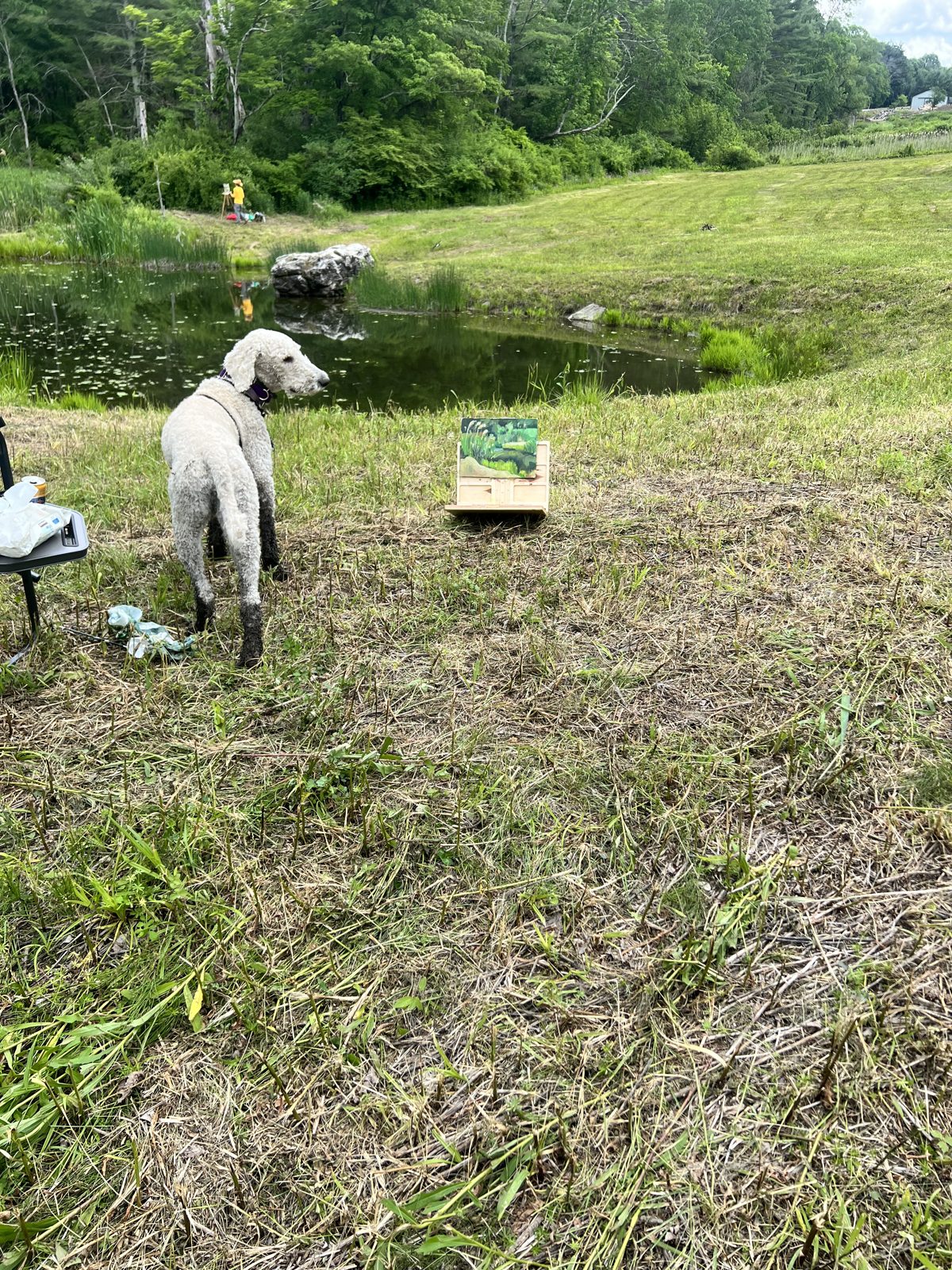 A small painting by Elena Rykoff drying in the meadow by the pond