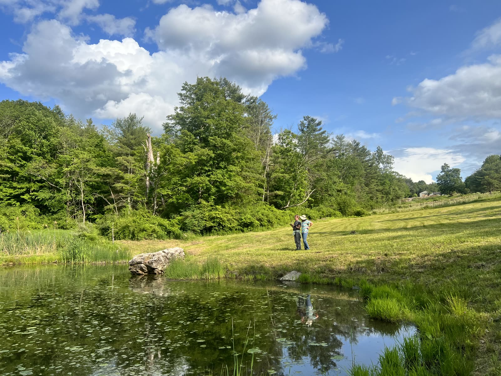 A painter standing in the meadow above the pond