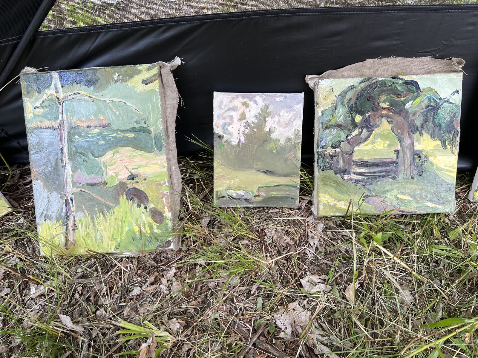 Three small plein-air oil paintings by Sasha Budayev resting in the grass