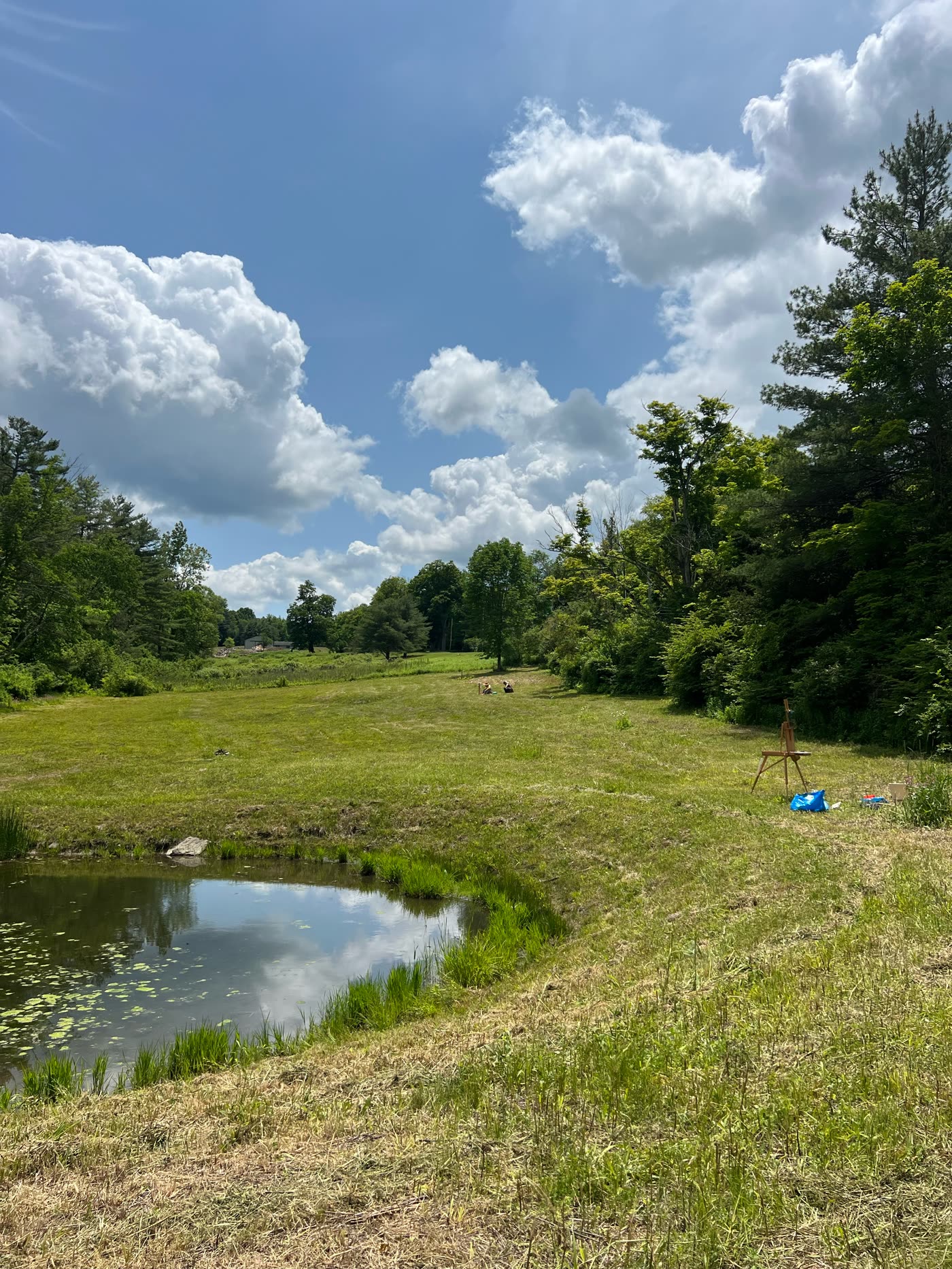 A mown path curving past the pond into the meadow